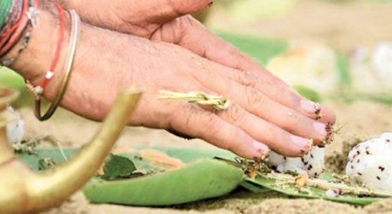 விசேஷ வழிபாட்டு தினங்களில் திதி கொடுக்கலாமா ?