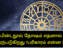 பின்டநூல் தோஷம் எதனால் ஏற்படுகிறது ?பரிகாரம் என்ன ?