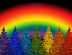 12 ராசிகளின் நிறங்கள் என்ன ?